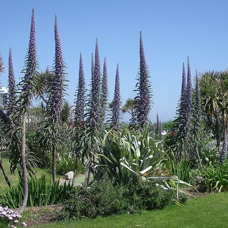 Kelly'S Resort Hotel & Spa Rosslare Harbour Exterior foto